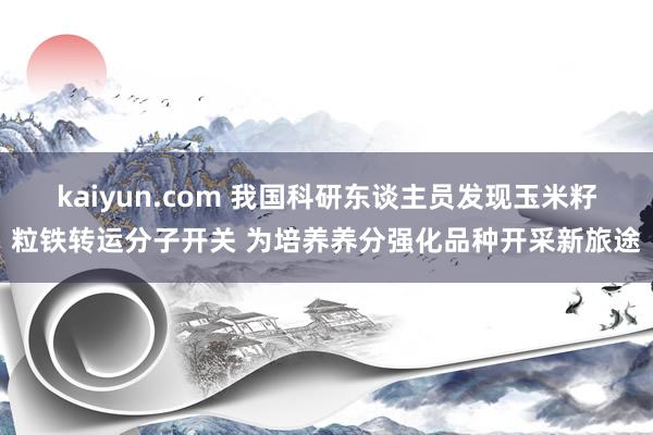 kaiyun.com 我国科研东谈主员发现玉米籽粒铁转运分子开关 为培养养分强化品种开采新旅途