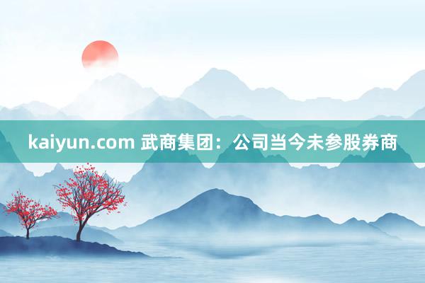 kaiyun.com 武商集团：公司当今未参股券商