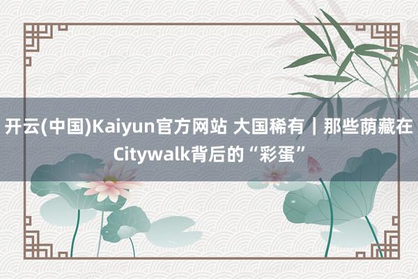 开云(中国)Kaiyun官方网站 大国稀有｜那些荫藏在Citywalk背后的“彩蛋”