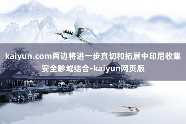 kaiyun.com两边将进一步真切和拓展中印尼收集安全畛域结合-kaiyun网页版