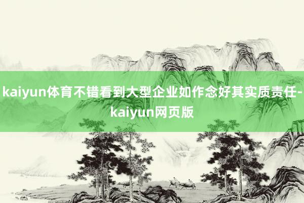 kaiyun体育不错看到大型企业如作念好其实质责任-kaiyun网页版